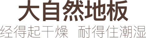 大自然地板